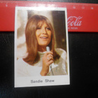 K14. Panda POP 100 # Sandie Shaw /Sätkynukke - pikkukuva 1