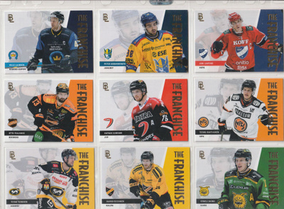 Blueline 2024-25 THE FRANCHISE Gold /500