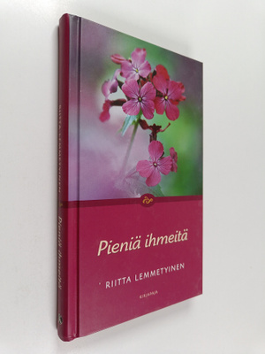 Riitta Lemmetyinen : Pieniä ihmeitä