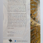 The architecture of the Cosmos : St Maximus the Confessor... - pikkukuva 2
