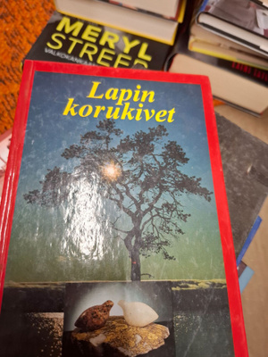 Risto Vartiainen Lapin korukivet