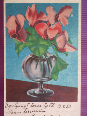 Syklaami lasissa VANHA -50