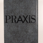 Praxis : käytännön yritystaito Osa 1 - pikkukuva 2