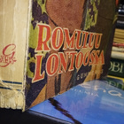 Wallace : Romuluu Lontoossa ( SIS POSTIKULU ) - pikkukuva 3