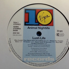 ANIMAL NIGHTLIFE :: LUSH LIFE :: VINYYLI LP 1988 !! - pikkukuva 4