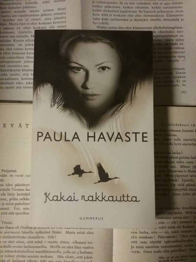 Paula Havaste - Kaksi rakkautta (pokkari)