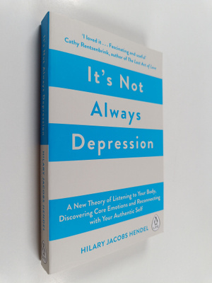 Hilary Jacobs Hendel : It's not always depression : a new...