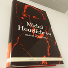 Michel Houellebecq: Maasto ja kartta - pikkukuva 1
