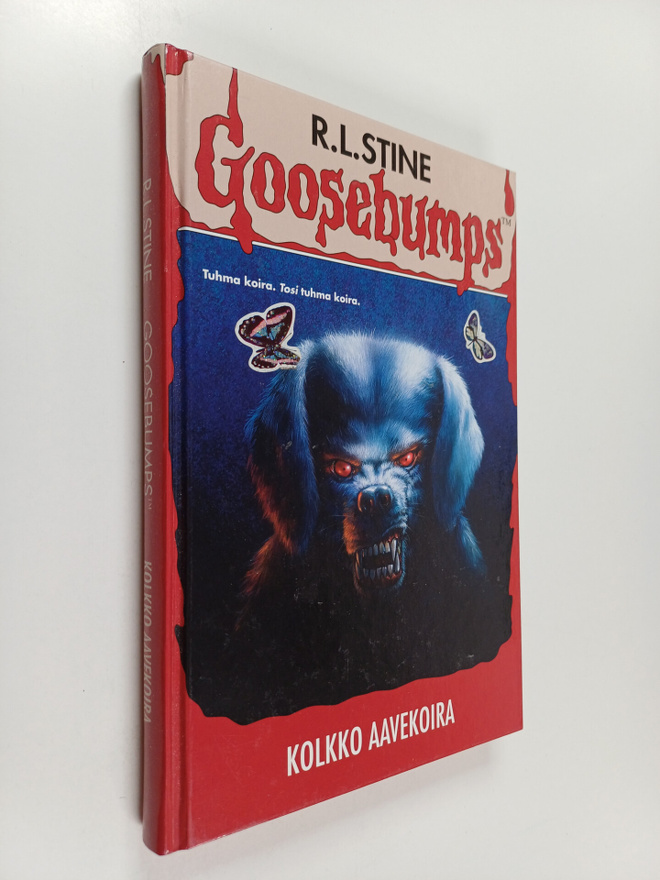 R. L Stine : Kolkko aavekoira