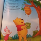 Walt Disney : Nalle Puh - Ovatpa eläimet taitavia - pikkukuva 3