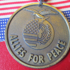 Allies for Peace - Operation Desert Storm 1991 -mitali - pikkukuva 3