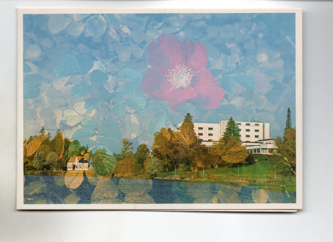 Hämeenlinna: Aulanko, hotelli