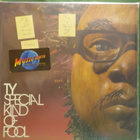 TY - SPECIAL KIND OF FOOL M-/M- 2LP - pikkukuva 1