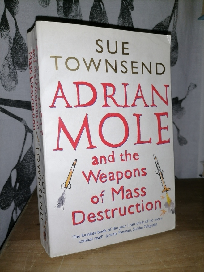 Adrian Mole and the Weapons of Mass Destruction - Townsend