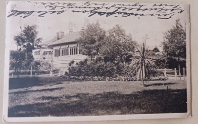 Viipuri, ravintola Espilä, istutuksia, p. 1916 + sens.