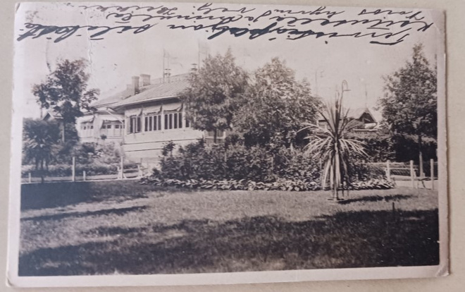 Viipuri, ravintola Espilä, istutuksia, p. 1916 + sens.