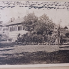 Viipuri, ravintola Espilä, istutuksia, p. 1916 + sens. - pikkukuva 1