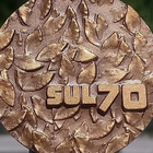 Suomen urheiluliitto 1906 - 1976. Rasiassa. Halkaisija - 49 - pikkukuva 3