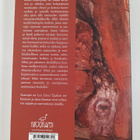 Lea Liinu Tajakka : Saattajat : novelleja - pikkukuva 2