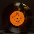 The tremeloes  As you are single CBS 3235 - pikkukuva 2