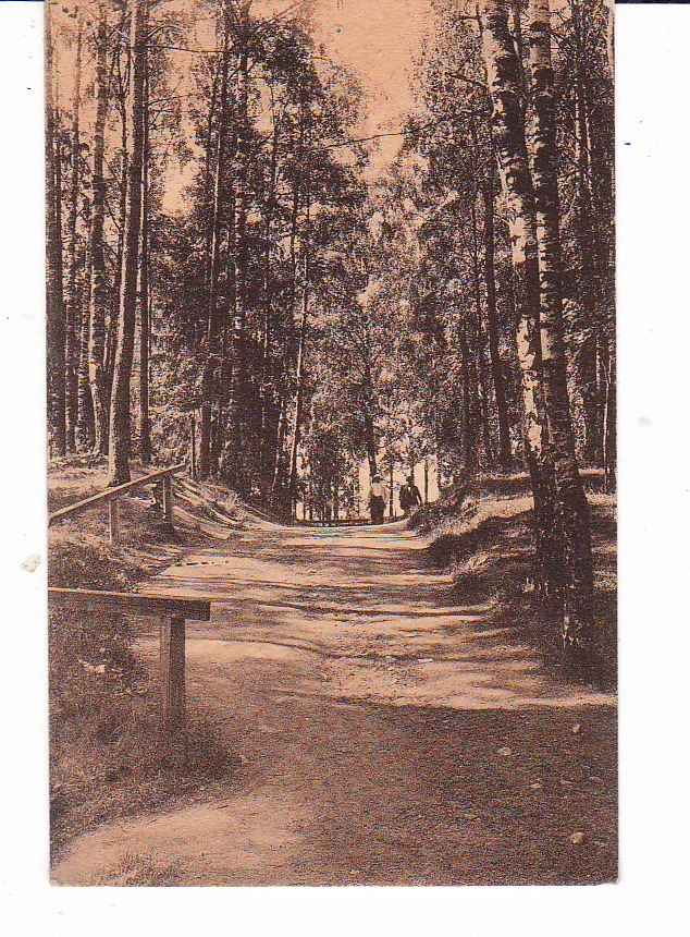 VANHA Postikortti Riihimäki 1919