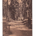 VANHA Postikortti Riihimäki 1919 - pikkukuva 1