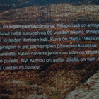 JUHANI KAISANLAHTI SOPPELAN KAISANLAHDET - pikkukuva 3