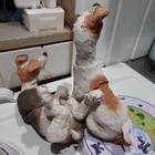Country Artists - Pair of Jack Russells - pikkukuva 4