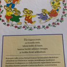 SCARRY: HANHIEMON LORULIPAS - pikkukuva 2