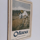 Otava Heinäkuu 1919 : kuvallinen kuukausilehti - pikkukuva 1