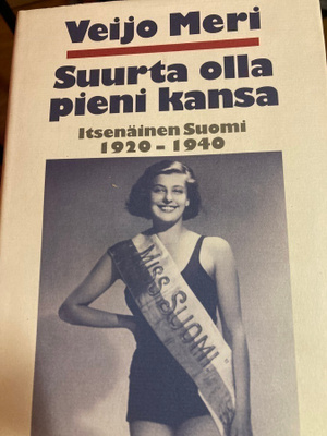 VEIJO MERI: SUURTA OLLA PIENI KANSA