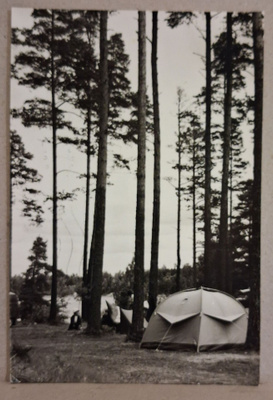 Lappeenranta: Leirintä o (2206)