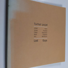 Vexi Salmi ym. : Turhat pojat = Lost guys : Juhani Harri,... - pikkukuva 1