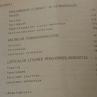 VERHOILIJA - kotiin - kouluun - kirja - pikkukuva 5
