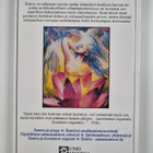 Osho : Tantra, spiritualisuus ja seksi - pikkukuva 2