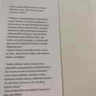 David Foster Wallace: Kummatukkainen tyttö - pikkukuva 2