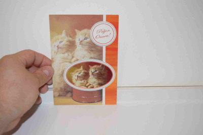 Postikortti (K) kissa