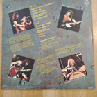 Y&T : In Rock we thrust - LP - pikkukuva 2