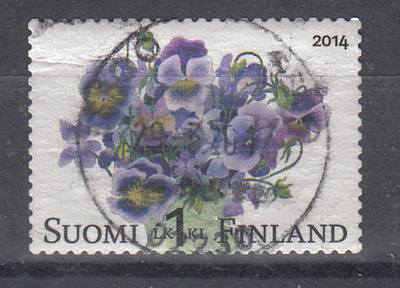 2014 Violetit kukat loistoleimattu