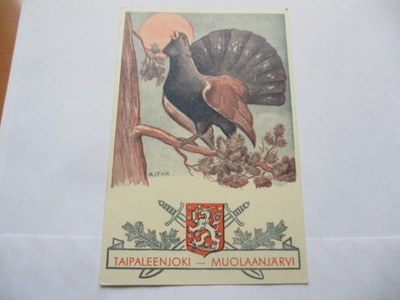 Tilgmann Taipaleenjoki * Paletti