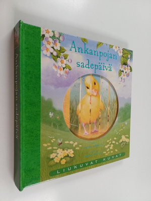 Ruth Martin : Ankanpojan sadepäivä
