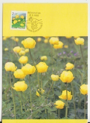 Maksimikortti numero 14 1992