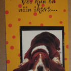KULKEMATON BASSET HOUND LÄHIKUVASSA VANHEMPI KORTTI - pikkukuva 1