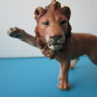 Schleich leijona uros - pikkukuva 5