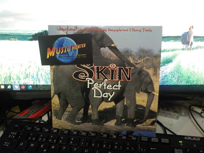 Skin - Perfect Day UK 1996 EX-/EX- 7"
