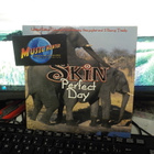 Skin - Perfect Day UK 1996 EX-/EX- 7" - pikkukuva 1