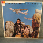 LP Ronnie Wood: 1234 - pikkukuva 1