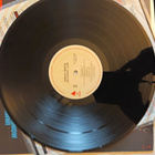 Great White Recovery live lp - pikkukuva 5
