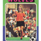 Purkkakuva Jalkapallo n:o 133 1973-74 DEREK PARKIN. Wolves - pikkukuva 1