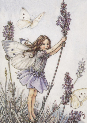 Cicely Mary Barker: Laventelikeiju